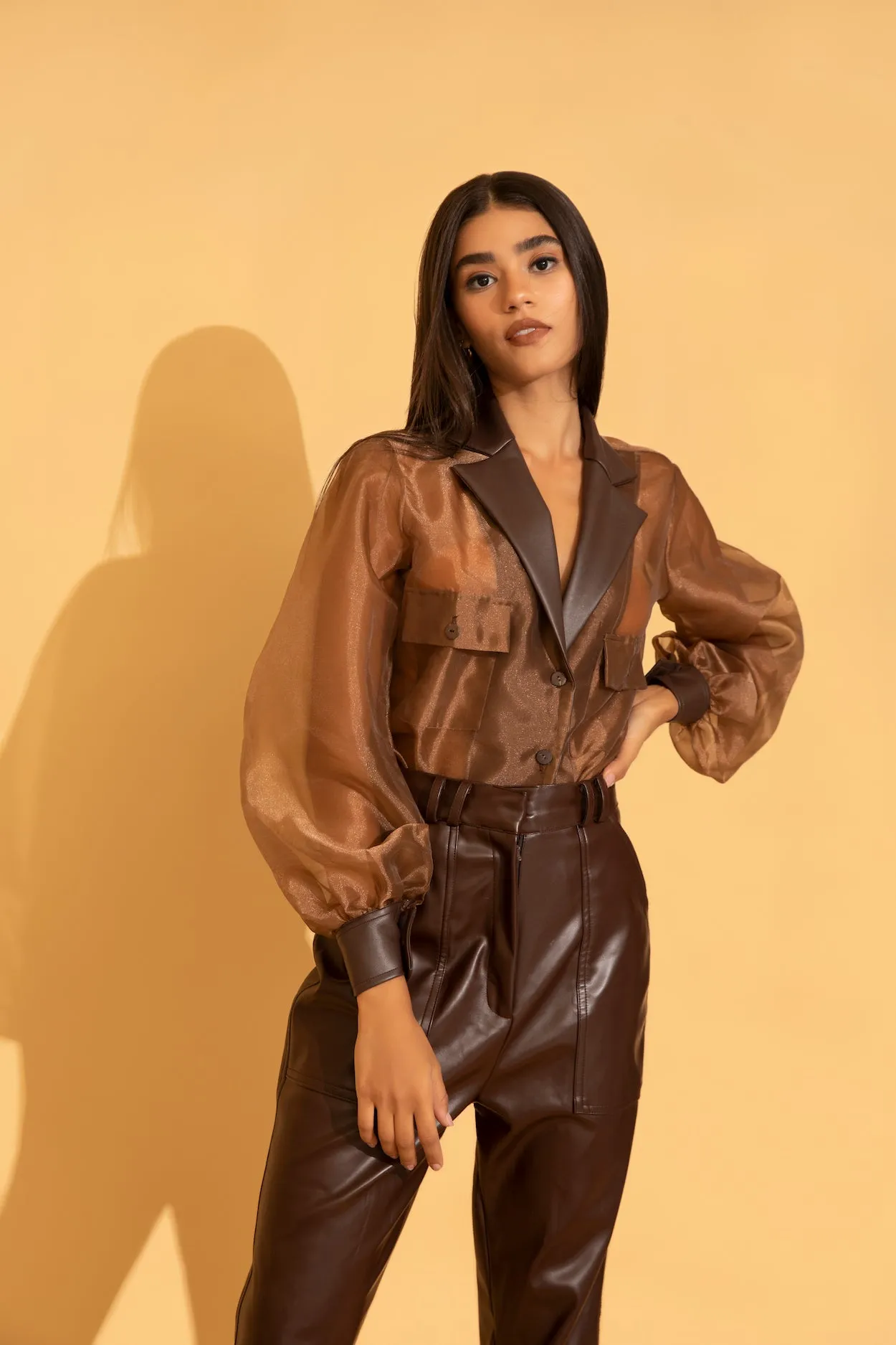 Brown Organza Lapel Shirt